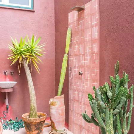 Cozy 1br With Private Terrace Praca Flores | By Airnest 아파트 리스본