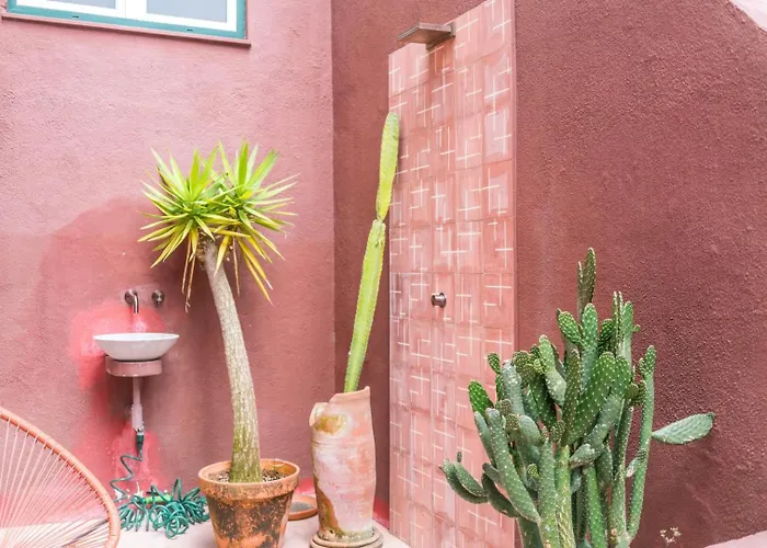 Cozy 1br With Private Terrace Praca Flores | By Airnest דירה ליסבון